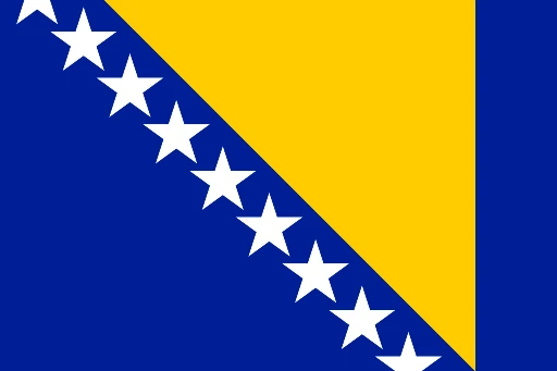 Bosnia and Herzegovina national team